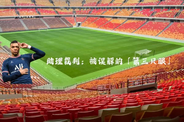 助理裁判：被误解的「第三只眼」